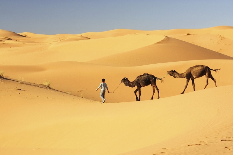 sahara desert tunisia